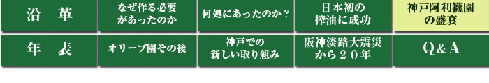 神戸オリーブ園の歴史